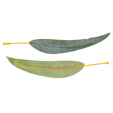 Gum Leaves Pack of 50 - Zart