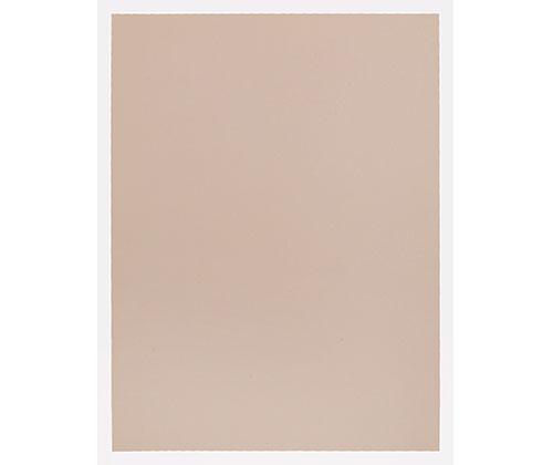 Art Spectrum Colourfix Paper Warm Colours Medium Pack of 10 - Zart