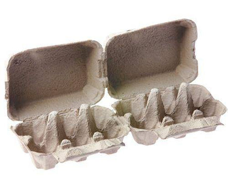 Egg Cartons 6 Wells Pack of 24 - Zart