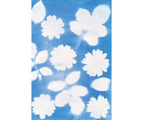 Jacquard Cyanotype Sensitizer Set 76.54g - Zart