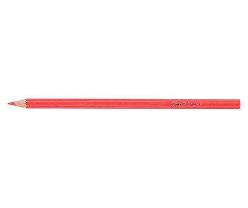 Jasart Tropical Pencils Pack of 12 - Zart