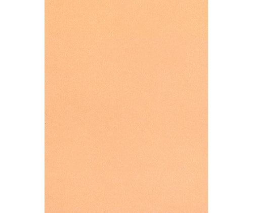 Skin / Earth Tone Craft Paper Pack of 48 - Zart