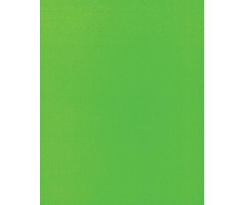 Coloured Posterboard (Pasteboard) 500gsm - Zart