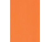 Coloured Fluorescent Card A4 300gsm Pack of 25 - Zart