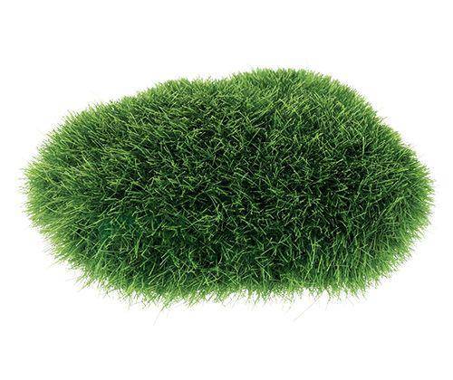 Grassy Stones Pack of 5 - Zart