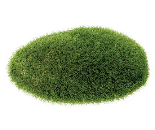 Grassy Stones Pack of 5 - Zart