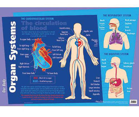 Organs Systems Chart - Zart