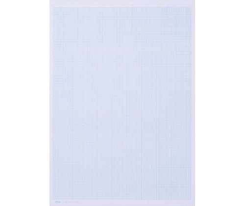 Graph Pad A3 25 Sheets - Zart