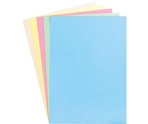 Coloured Pastel Cardboard 220gsm Pack of 100 - Zart