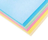 Coloured Pastel Cardboard 220gsm Pack of 100 - Zart