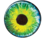 Creature Eyes Pack of 30 - Zart