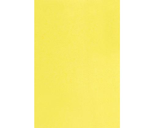 Coloured Paper Neon and Bright Colours A3 Pack of 500 - Zart