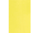 Coloured Paper Neon and Bright Colours A3 Pack of 500 - Zart