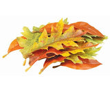 Autumn Leaves Assorted Plastic Pack of 50 - Zart