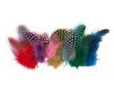 Guinea Fowl Feathers 10g Pack of 100 - Zart