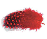 Guinea Fowl Feathers 10g Pack of 100 - Zart