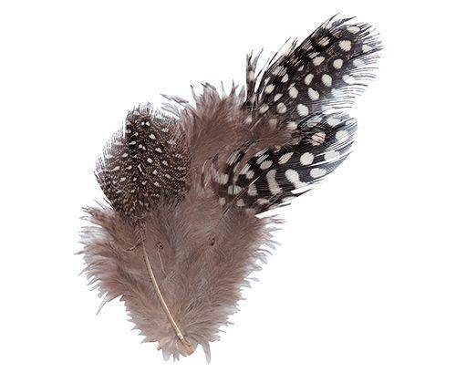 Guinea Fowl Feathers 10g Pack of 100 - Zart