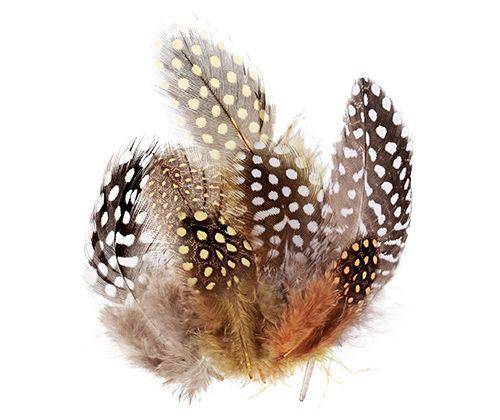 Guinea Fowl Feathers 10g Pack of 100 - Zart