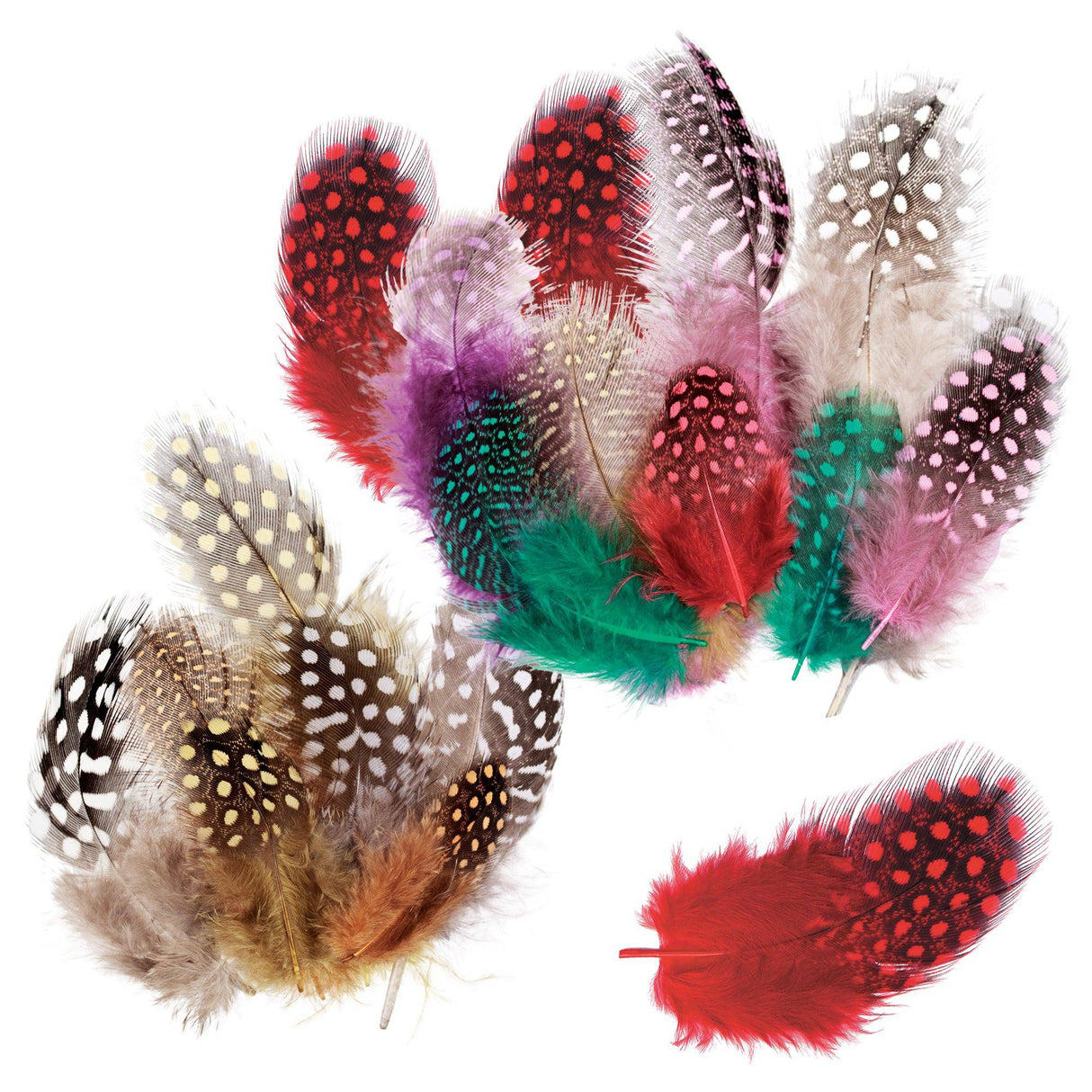 Guinea Fowl Feathers 10g Pack of 100 - Zart