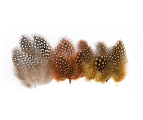 Guinea Fowl Feathers 10g Pack of 100 - Zart