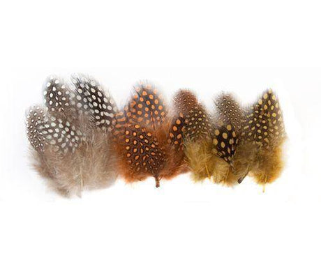 Guinea Fowl Feathers 10g Pack of 100 - Zart