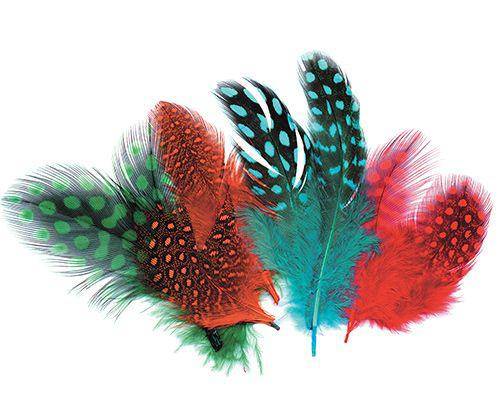 Guinea Fowl Feathers 10g Pack of 100 - Zart