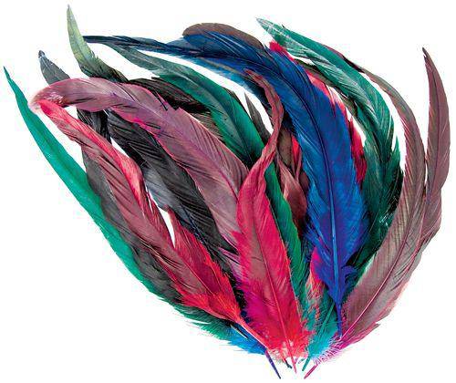 Cocktail Feathers Coloured Pack of 18 - Zart