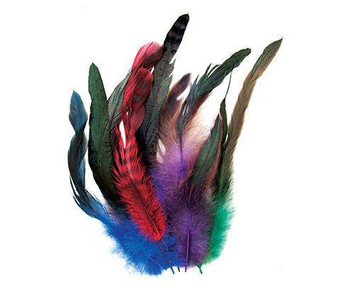 Cocktail Feathers Coloured Pack of 18 - Zart