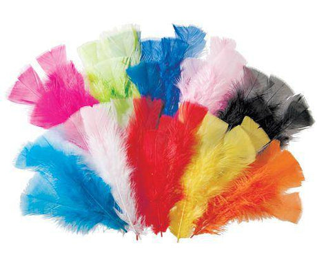 Feathers 60g Coloured Pack of 240 - Zart