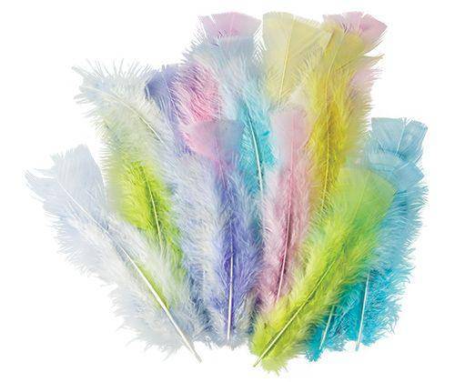 Feathers Pastel Colours 10g Pack of 60 - Zart