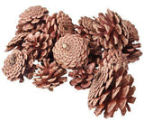 Pine Cones 200g - Zart