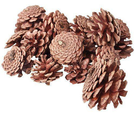 Pine Cones 200g - Zart