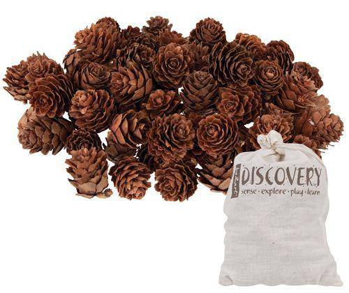 Pine Cones Mini190g - Zart