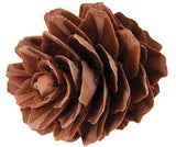 Pine Cones Mini190g - Zart