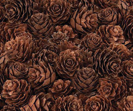 Pine Cones Mini190g - Zart