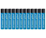 Zart Basics Oil Pastels Pack of 48 - Zart