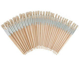 Hog Hair Assorted Size Bristle Brushes Pack of 60 - Zart