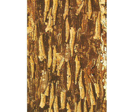 Bark Paper A3 Assorted Pack of 40 - Zart