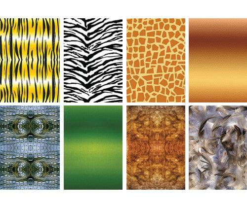 Pattern Paper A4 Animal Pack of 40 - Zart