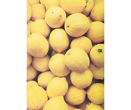 Pattern Paper A4 Fruit & Veg Pack of 40 - Zart