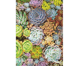 Pattern Papers A4 Foliage Pack of 40 - Zart