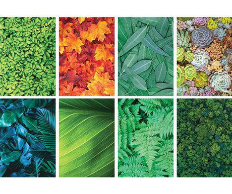 Pattern Papers A4 Foliage Pack of 40 - Zart