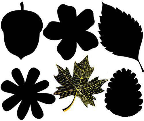 Scratch Leaves Pack of 24 - Zart