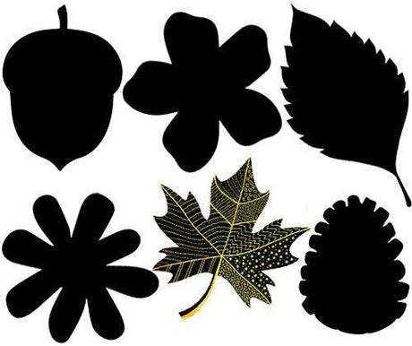 Scratch Leaves Pack of 24 - Zart