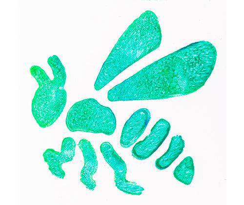 Minibeast Stencils 6.8 x 6.8cm Pack of 12 - Zart